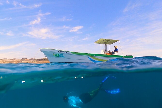 Boat ride to the Arch and Snorkel - After the water: snacks, cold drinks, and that guacamole payoff