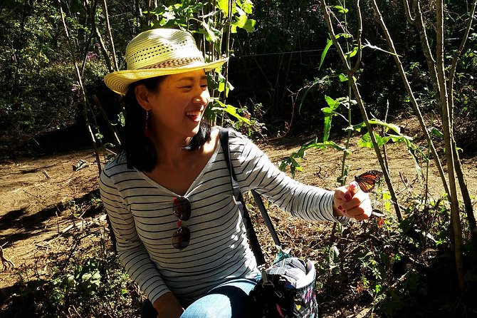 Butterfly Monarch Tour from Mexico City - Sierra Chincua Sanctuary: What You’ll See and How the Hike Really Feels