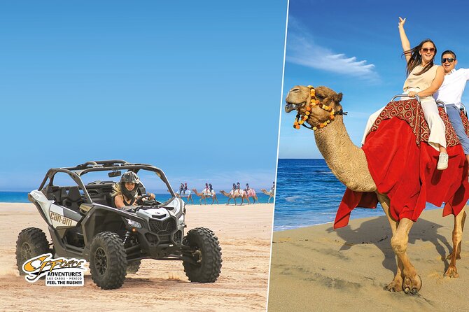 Cabo Adventure: Can-Am X3 Ride & Camel Beach Tour - Cabo combo tour: desert power and Pacific camels