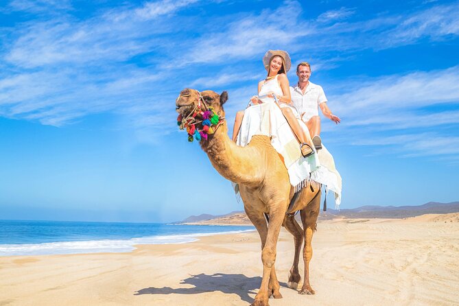 Cabo Adventure: Can-Am X3 Ride & Camel Beach Tour - Tequila tasting and buffet: a fun pause, not a distraction