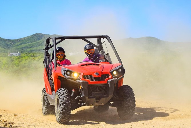 Cabo Adventure: Can-Am X3 Ride & Camel Beach Tour - Pickup from Los Cabos and San José del Cabo, then on to G-Force Park
