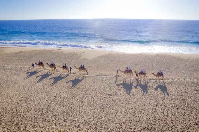 Cabo Beach Camel Ride, Mexican Buffet and Tequila Tasting - Key things I’d zero in on