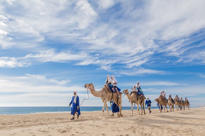 Cabo Beach Camel Ride, Mexican Buffet and Tequila Tasting - What This Cabo Camel Ride Mix Gets Right