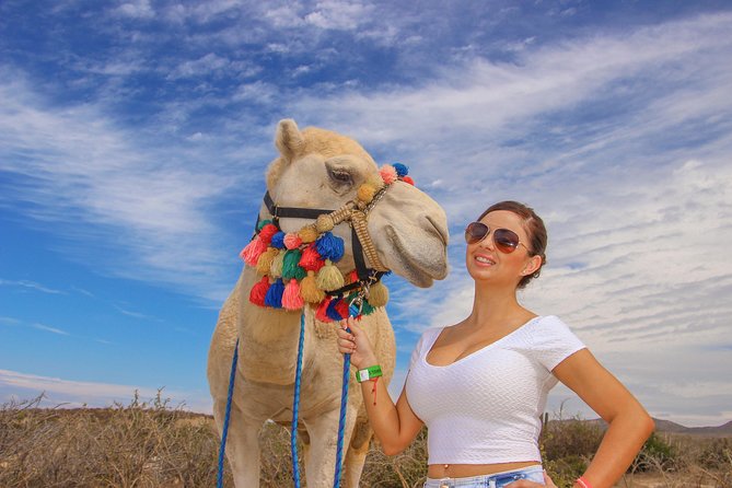 Cabo Beach Camel Ride, Mexican Buffet and Tequila Tasting - Getting There From Los Cabos: Pickup Timing and Realistic Expectations