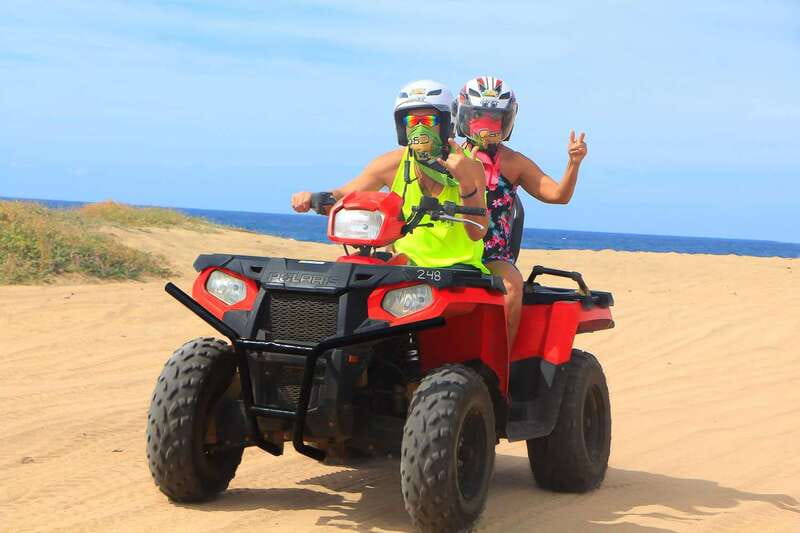 Cabo: Beach & Desert Single ATV Tour with Tequila Tasting - The ride route: desert speed, wildlife chances, and a white-sand payoff