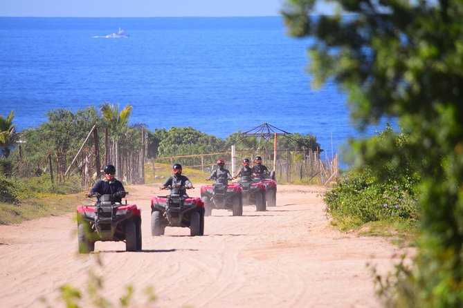 Cabo Candelaria Village Adventure + Tequila Tasting - Quick Key Points Before You Go
