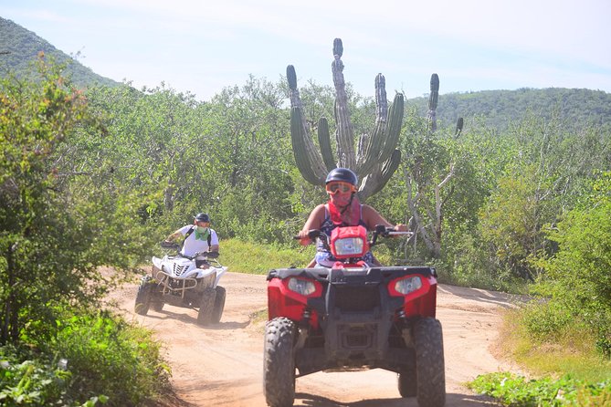 Cabo Candelaria Village Adventure + Tequila Tasting - Hotel Pickup in Cabo and San Jose Del Cabo, Plus a Simple Start