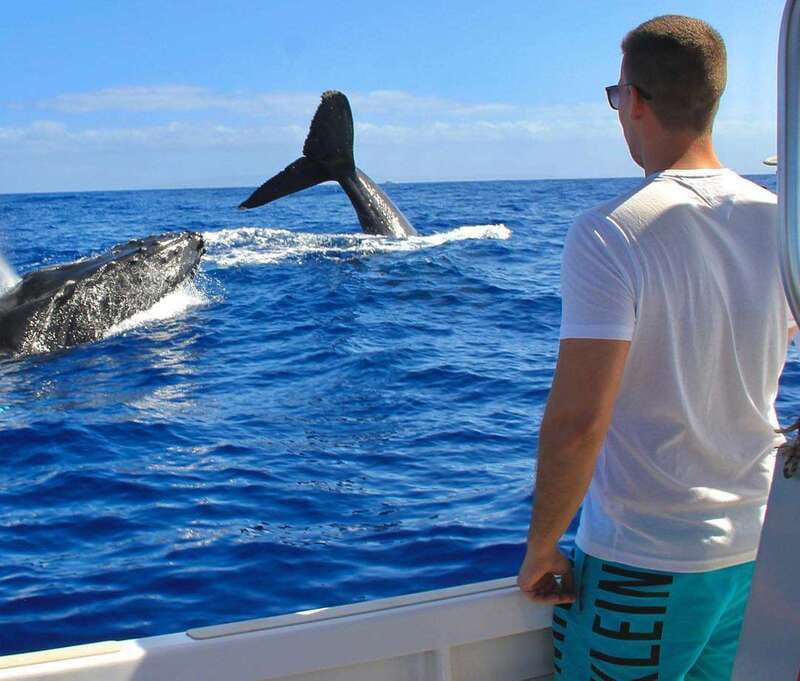 Cabo Catamaran Snorkel: Arch & Santa Maria, Open Bar, Snacks - Price and value at about $75 per person