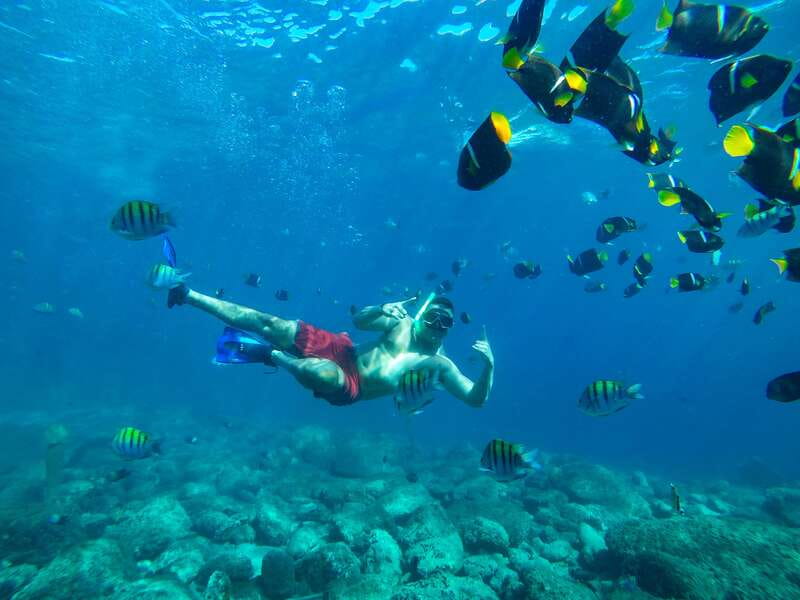 Cabo Catamaran Snorkel: Arch & Santa Maria, Open Bar, Snacks - Who should book this Cabo snorkel cruise, and who should pass