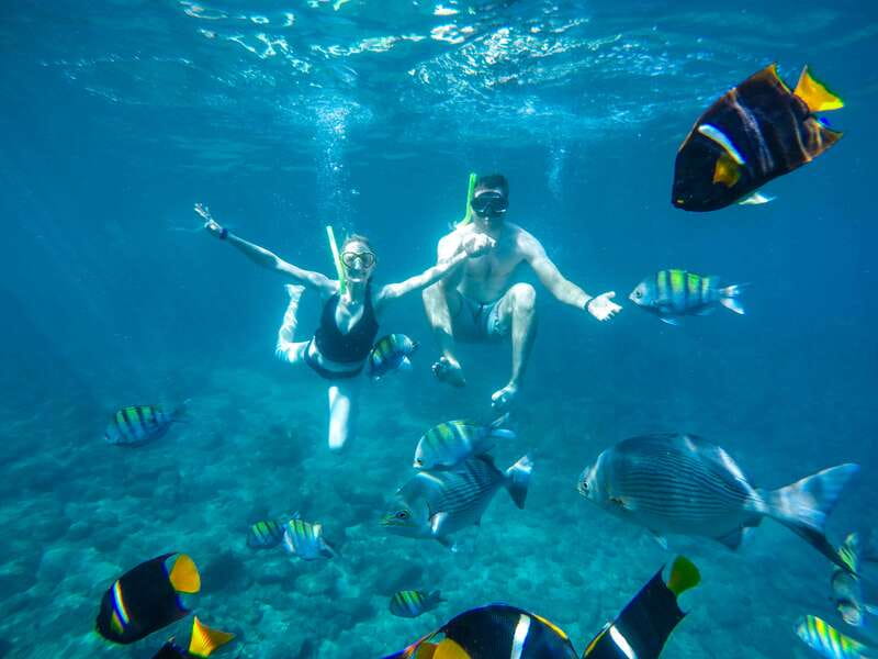 Cabo Catamaran Snorkel: Arch & Santa Maria, Open Bar, Snacks - D Dock and La Princesa: how to show up without stress