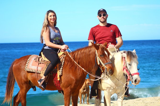Cabo Desert Off-Road & Beach Horseback Combo and Tequila Tasting - ATV and desert trails: the adrenaline part of Cabo
