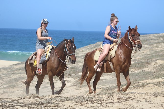 Cabo Desert Off-Road & Beach Horseback Combo and Tequila Tasting - Small-group feel, up to 30 riders, and why private can be worth it