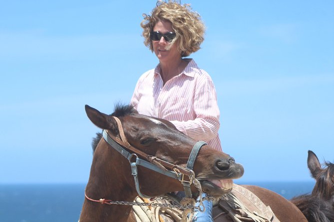Cabo Desert Off-Road & Beach Horseback Combo and Tequila Tasting - Who this tour suits best (and who should rethink it)