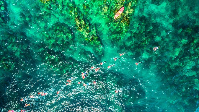 Cabo Escape Breakfast Snorkel Cruise - Stop 3: Cabo Escape breakfast onboard, plus drinks and music