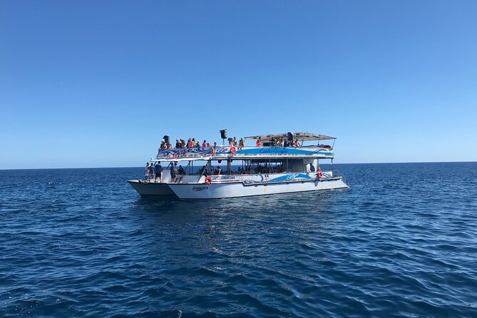 Cabo Escape Snorkel Fun Cruise - Playa el Chileno Snorkeling: What You Get, What You Should Not Expect