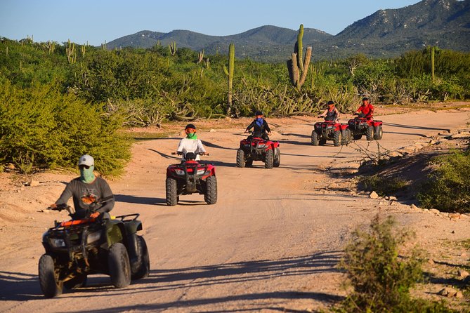 Cabo Migrino Beach and Desert ATV Tour plus Tequila Tasting - Desert “show and tell” moments, like the 200-year-old cactus