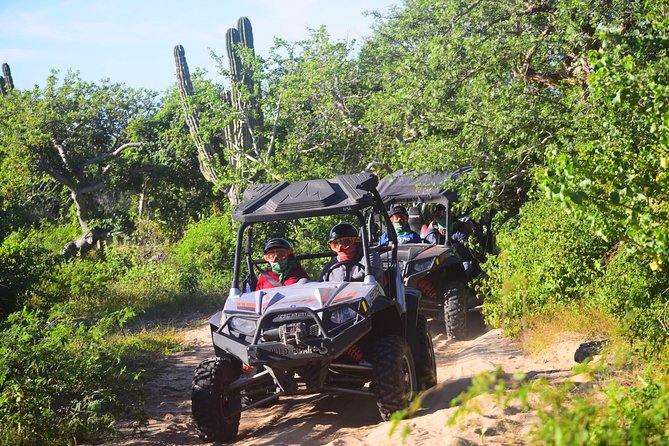 Cabo Migrino Beach & Desert Tour (Triple UTV) - Included Amenities That Actually Help