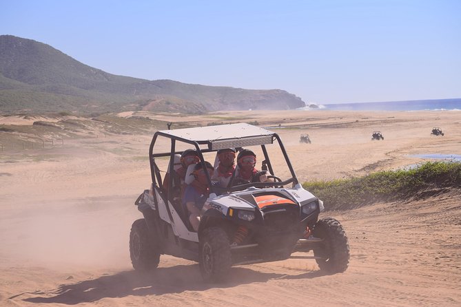 Cabo Migrino Beach & Desert Tour (Triple UTV) - Who This Tour Fits Best