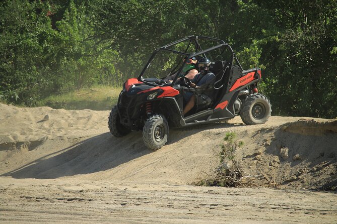 Cabo Migrino Beach & Desert UTV Tour and Tequila Tasting - Real Baja Route Highlights: Ocean Views, Tight Trails, and Plant Stops