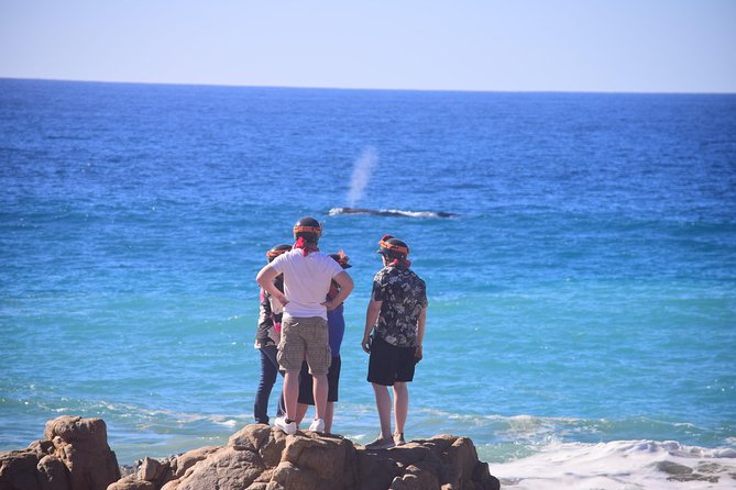 Cabo Original Real Baja 1000 Tour (Single ATV) - Pickup, private group feel, and how logistics affect your day
