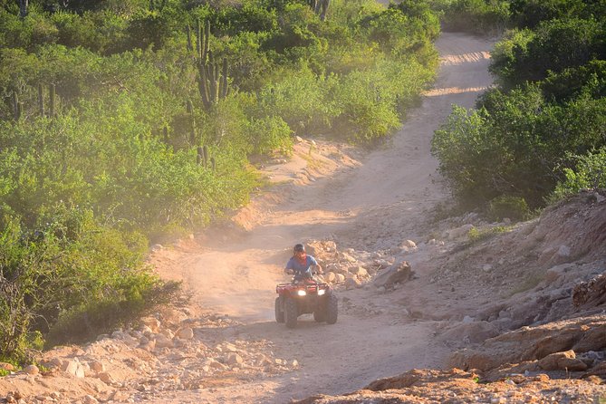 Cabo Original Real Baja 1000 Tour (Single ATV) - Who this tour suits best in Cabo San Lucas