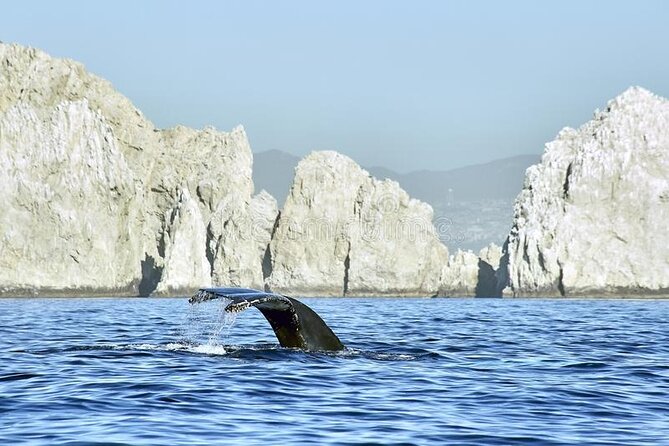 Cabo Private Transportation to Cabo - Your Stress-Free First Ride From Los Cabos Airport