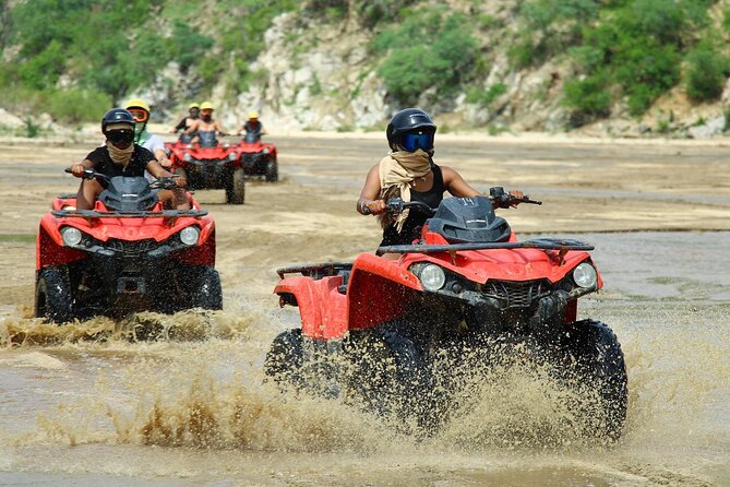 Cabo’s Best ATV Tour – Desert, Beach Ride & Tequila Tasting - Playa Migrino Stop: Pacific Views, Photo Breaks, and Wildlife Moments