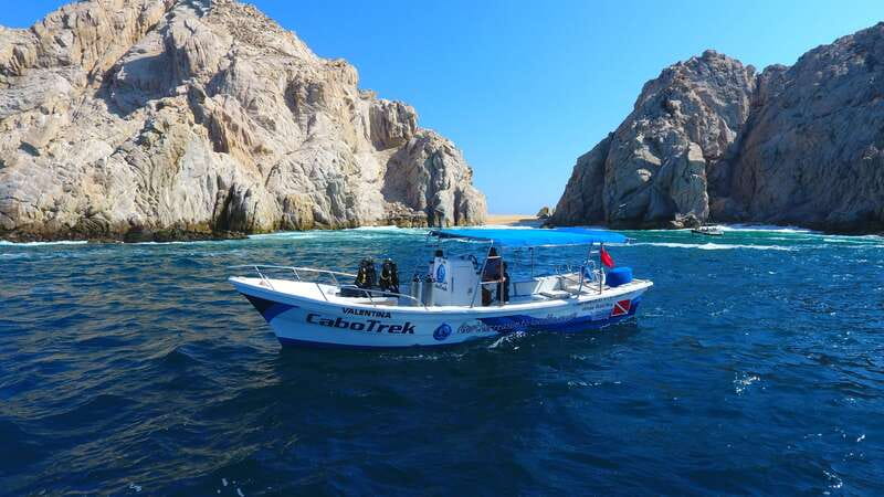 Cabo San Lucas: 2.5-Hour Whale Watching Tour - The Arch and Sea Lions: Classic Cabo Sights That Break Up the Whale Time