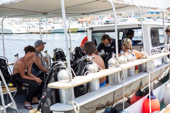 Cabo San Lucas 2 Tank Scuba Diving - Who this half-day fits best, and who should double-check