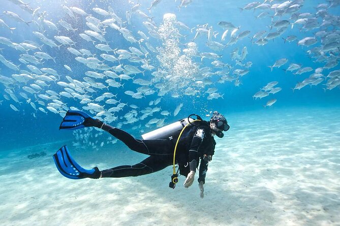 Cabo San Lucas 2 Tank Scuba Diving - Price and value: what $150.54 buys you