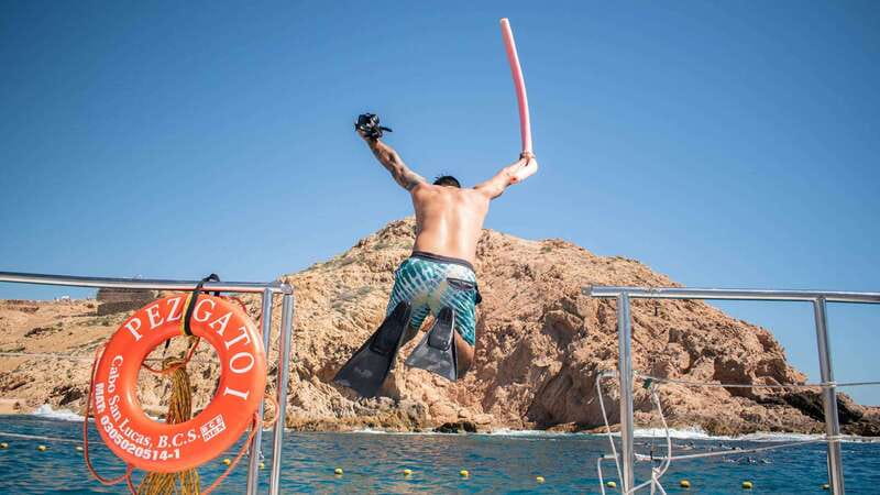 Cabo San Lucas: 4-Hour Snorkeling Cruise with Open Bar - Why this 4-hour Cabo cruise feels like a mini-vacation