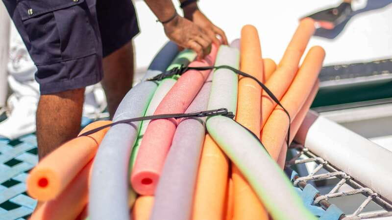 Cabo San Lucas: 4-Hour Snorkeling Cruise with Open Bar - Who this Cabo snorkeling cruise suits best