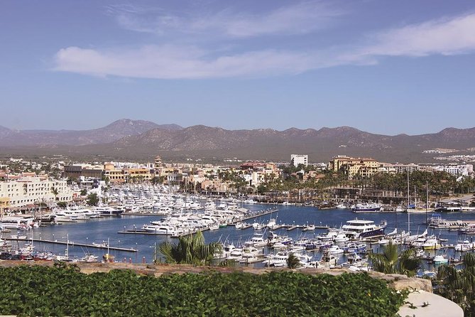Cabo San Lucas and San Jose del Cabo Sightseeing Tour - San Jose del Cabo: Plaza Mijares and a Colonial Slowdown