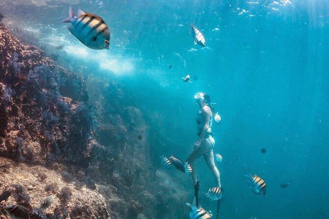 Cabo San Lucas Arch Boat Tour and Snorkeling at Pelican Rock - Price and What You Really Get for $89.10