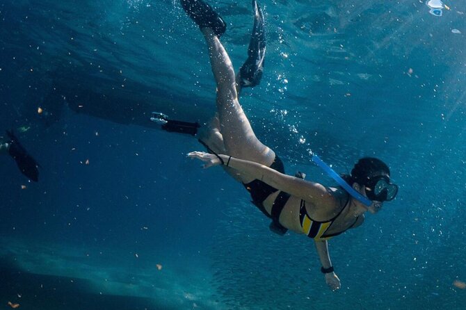Cabo San Lucas Arch Boat Tour and Snorkeling at Pelican Rock - What to Bring and How to Stay Comfortable in Rough Water