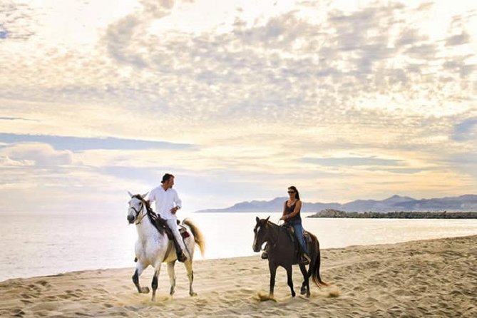 Cabo San Lucas Beach and Desert Horseback Ride - Migrino Desert to Playa Migrino Beach, in One Smooth 2-Hour Ride