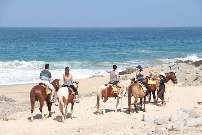 Cabo San Lucas Beach and Desert Horseback Ride - Riding Starts at the Ranch: Horse Introductions, Safety, and Comfort