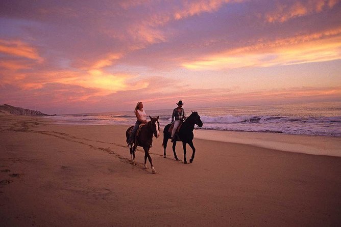 Cabo San Lucas Beach and Desert Horseback Ride - Migrino Desert Details: Dried Riverbeds and Real Baja Texture