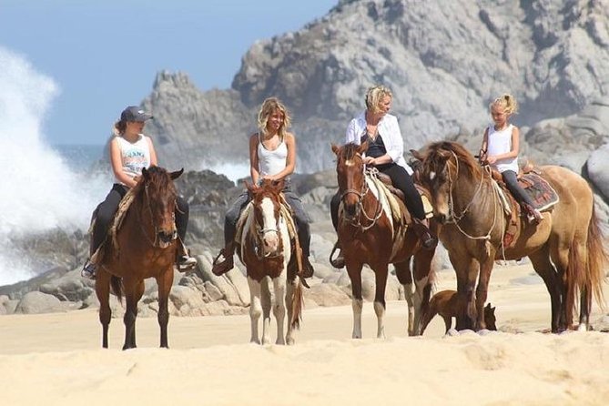 Cabo San Lucas Beach and Desert Horseback Ride - Pickup, Shuttles, and Cabo Traffic: How to Avoid Wasted Time