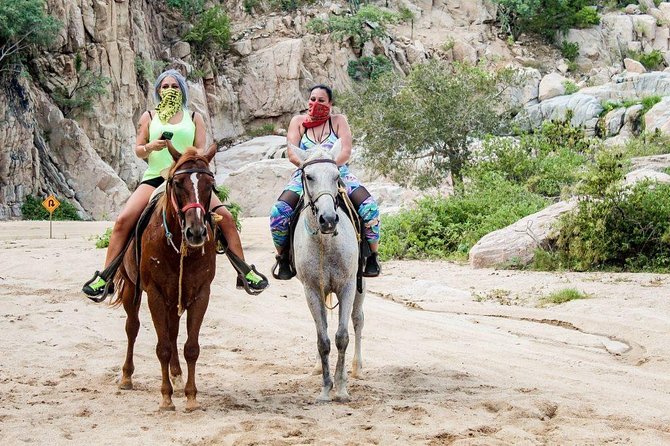 Cabo San Lucas Beach and Desert Horseback Ride - Stop 1: Playa Migrino and the Moment the Ocean Takes Over