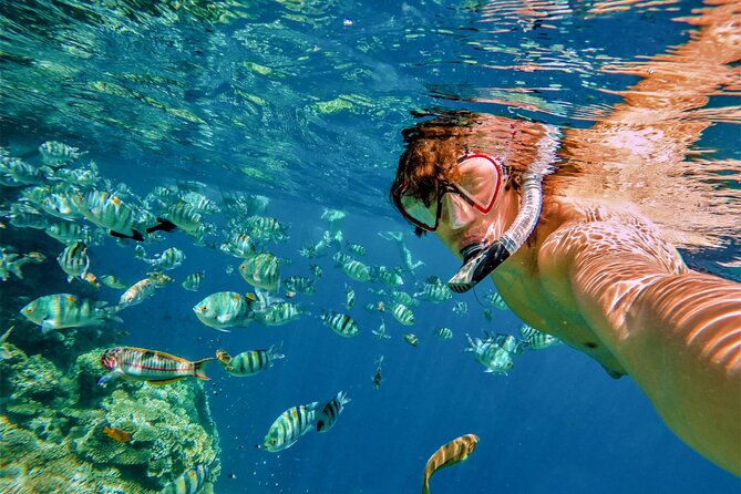 Cabo San Lucas Boat Tour with Snorkeling, Open Bar, and Lunch - Snorkeling vs. Choppy Water: How to Set Realistic Expectations