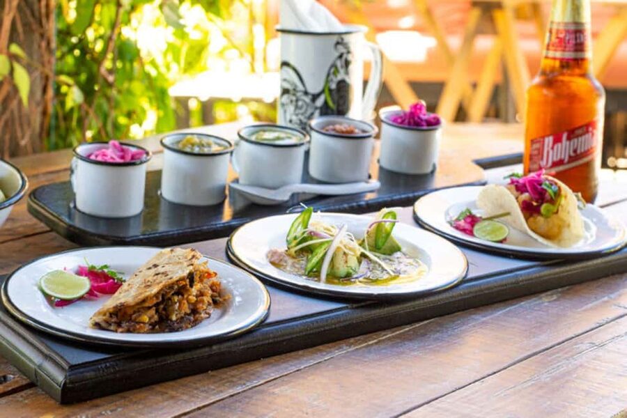 Cabo San Lucas: Cabo Foodie Grand Tour - Stop One: Seafood-Forward Starts on a Cozy Open-Air Terrace