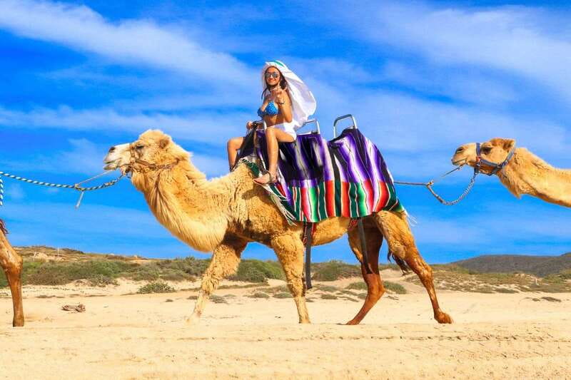 Cabo San Lucas: Camel Ride & Off-Road UTV Combo Adventure - Migriño Beach dunes and ocean-side cliffs: why the finale lands