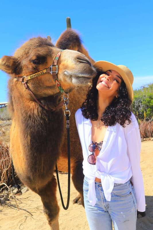 Cabo San Lucas: Camel Ride & Off-Road UTV Combo Adventure - Who should book this Cabo combo, and who should skip it