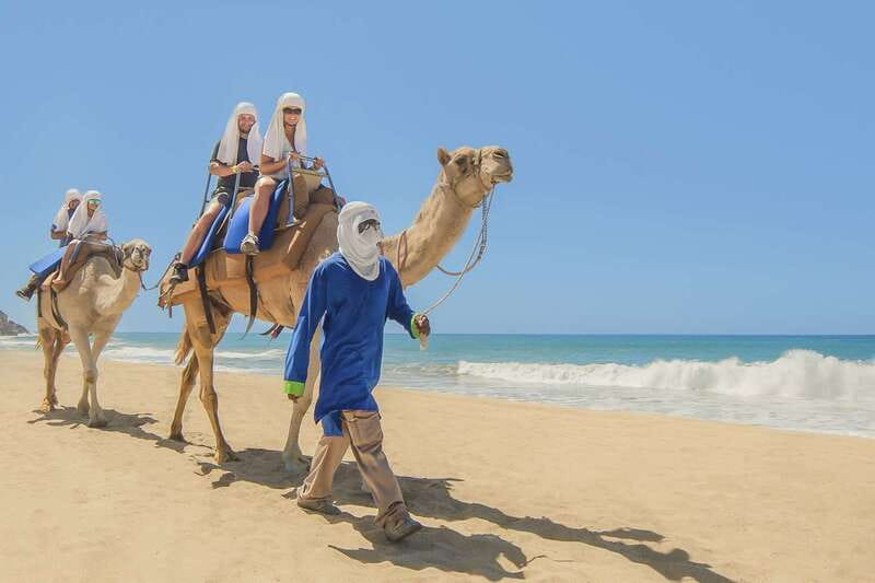 Cabo San Lucas: Camel Safari Tour with Lunch and Tequila - Cabo Adventures Pickup and the Drive From the City to the Ranch