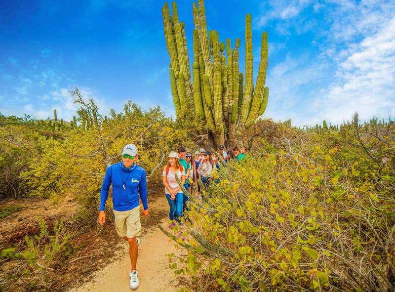 Cabo San Lucas: Camel Safari Tour with Lunch and Tequila - Should You Book This Cabo San Lucas Camel Safari Tour?