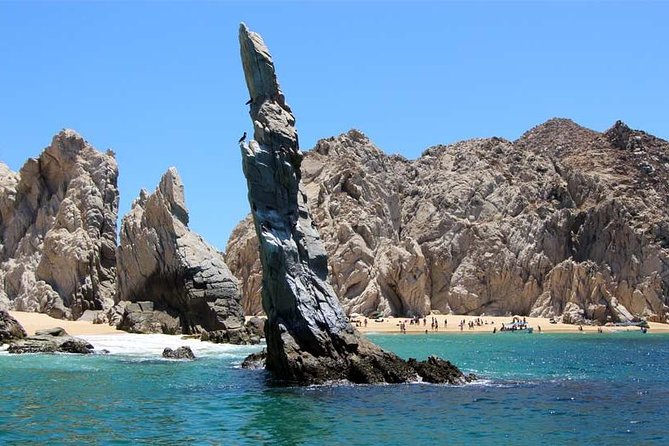 Cabo San Lucas city tour and amazing sea adventure to Lands End! - Key Highlights That Make This Tour Worth Considering
