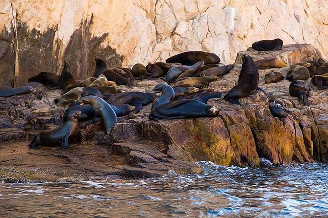 Cabo San Lucas city tour and amazing sea adventure to Lands End! - Photographer Sales on the Boat: Optional, but Plan Your Response