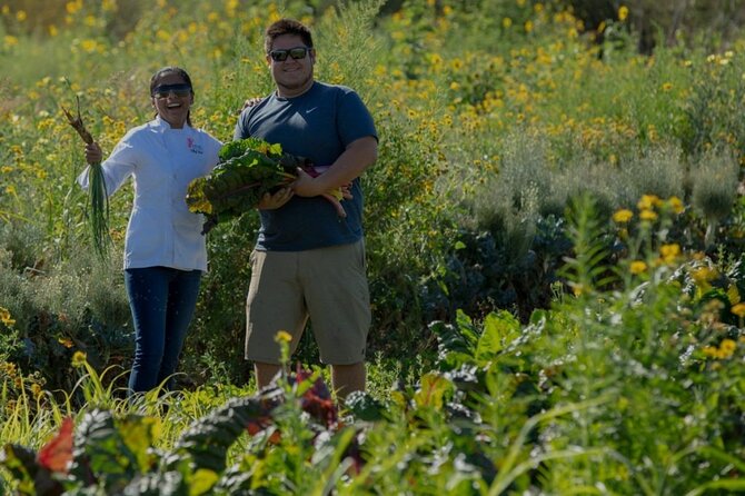 Cabo San Lucas Cooking Classes by Chef Ari - Getting to Casa Maya in Cabo: The Real Logistics You’ll Want