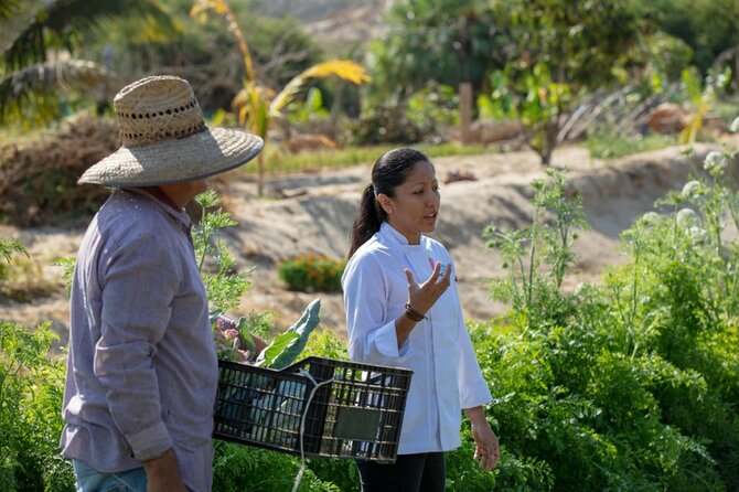 Cabo San Lucas Cooking Classes by Chef Ari - Margarita Add-On: Worth Considering If You Like the Real Deal